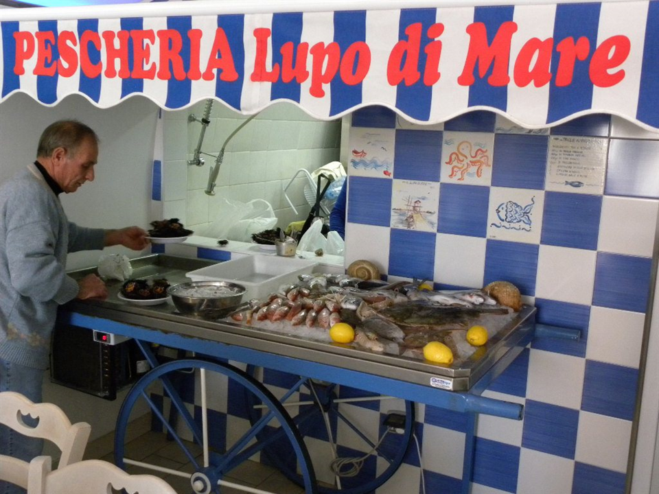 Lupo di Mare-Barletta-Apuliatv