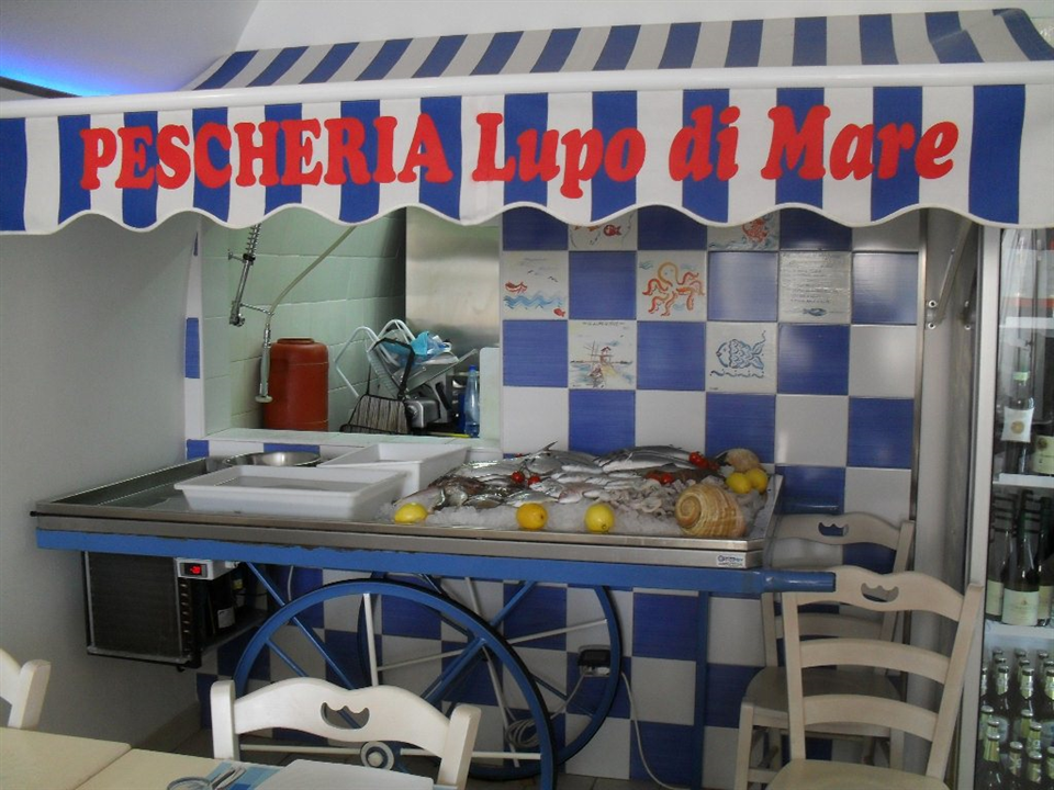 Lupo di Mare-Barletta-Apuliatv