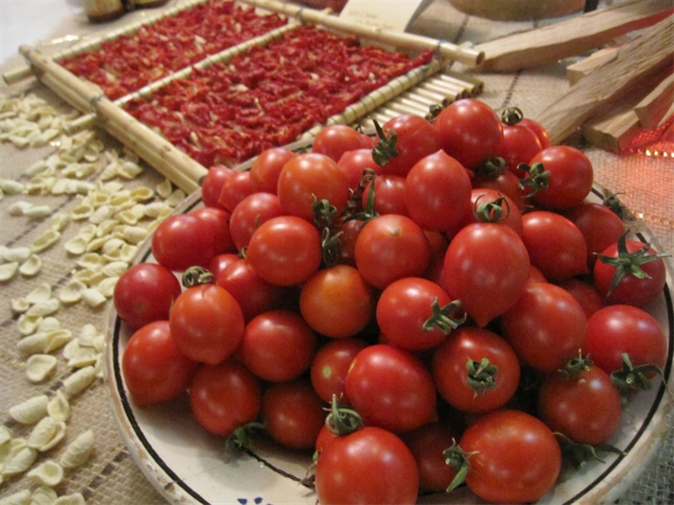 Fiaschetto tomato of Torre Guaceto-Apuliatv