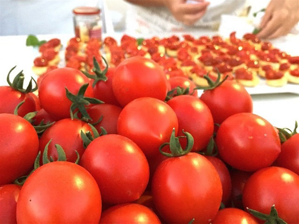 Fiaschetto tomato of Torre Guaceto-Apuliatv