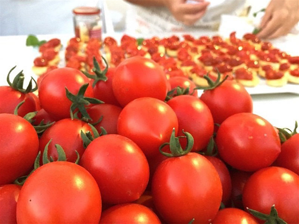 Tomate Fiaschetto de Torre Guaceto-Apuliatv