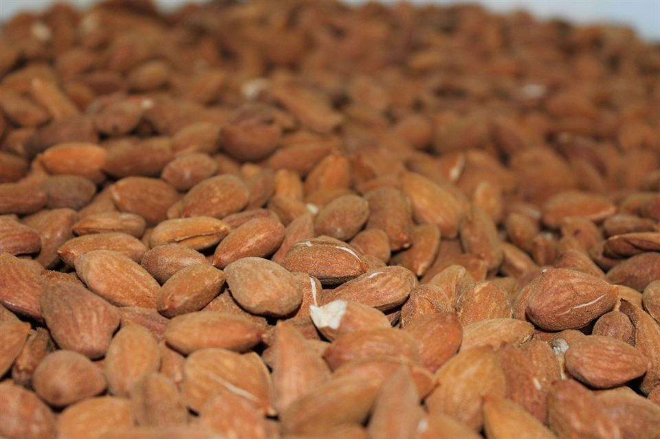 Almond of TORITTO -Apuliatv