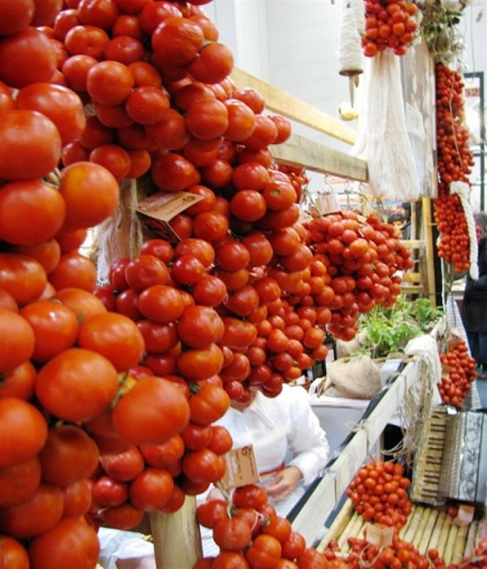 Tomato Regina from Torre canne-Apuliatv