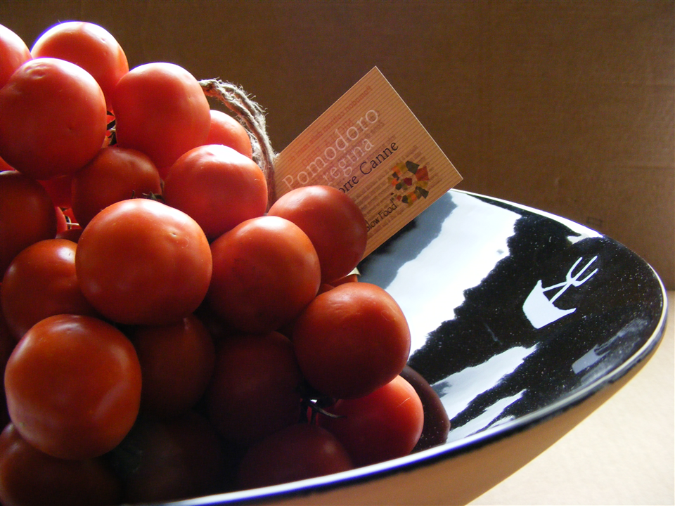 Tomate Reina de Torre Canne-Apuliatv