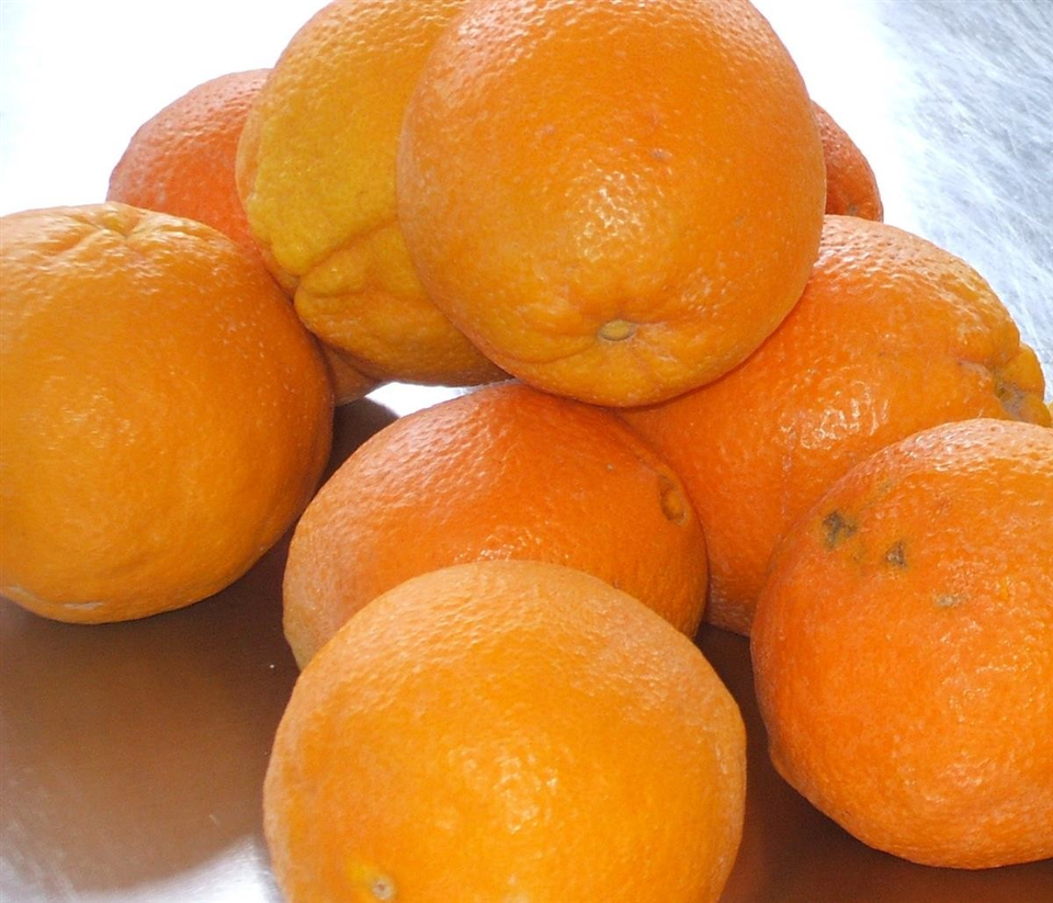 ガルガーノの柑橘類 -Apuliatv