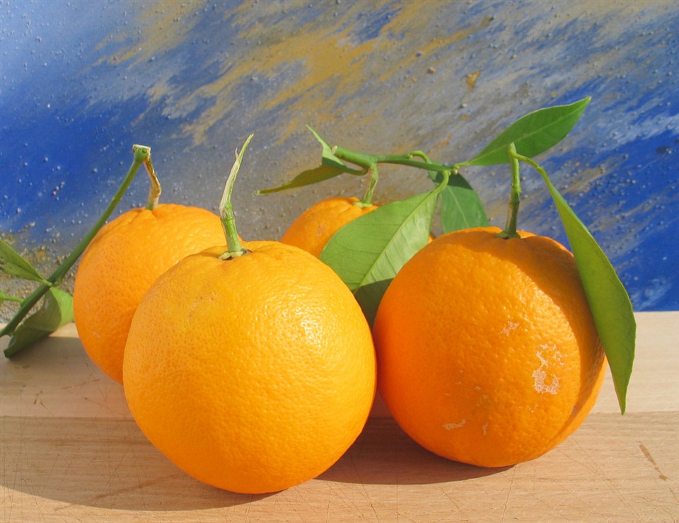 Gargano citrus fruits -Apuliatv