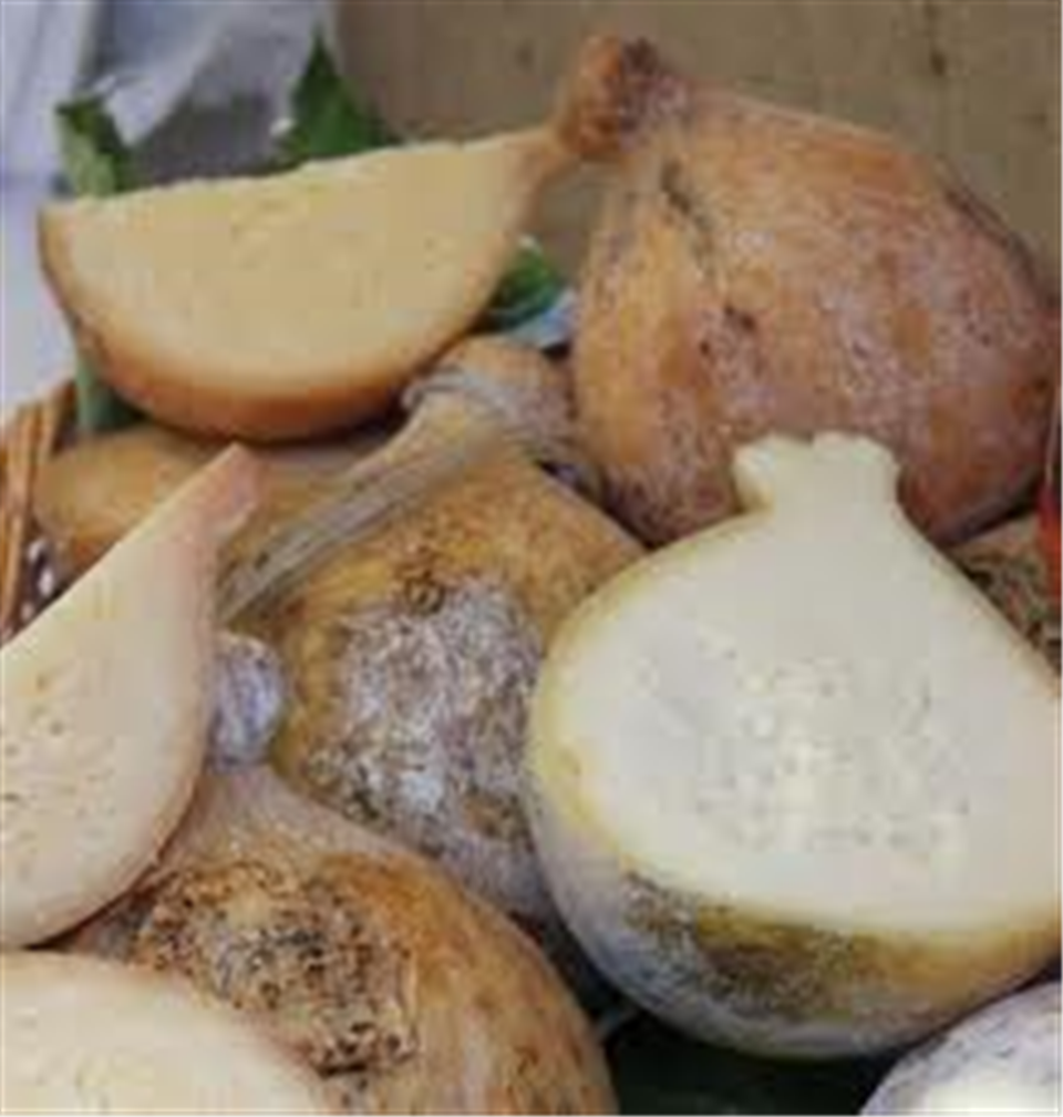 ガルガーノで飼育されているポドリア種の乳牛の乳で作ったカチョカヴァロ（チーズ） -Apuliatv