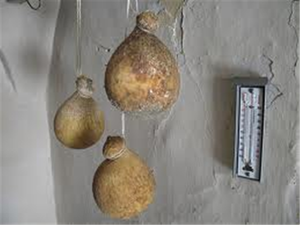 Caciocavallo Podolico from Gargano-Apuliatv