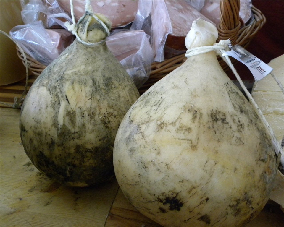 Caciocavallo Podolico en el Gargano-Apuliatv