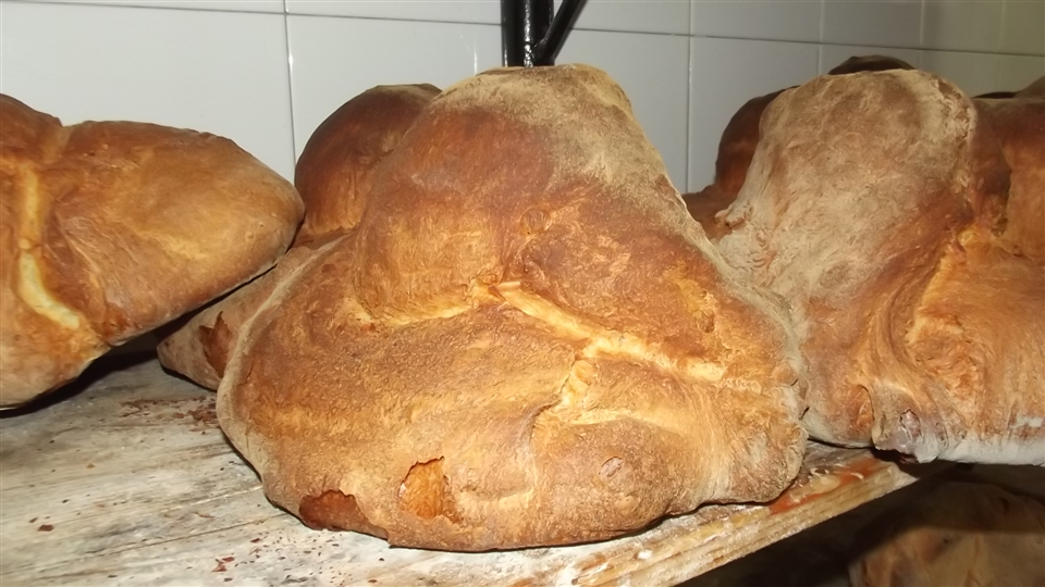 Traditional Bread from the Murgia-Apuliatv