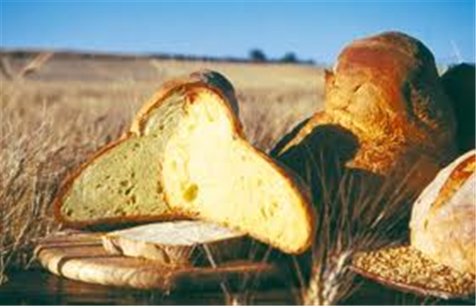 Traditional Bread from the Murgia-Apuliatv