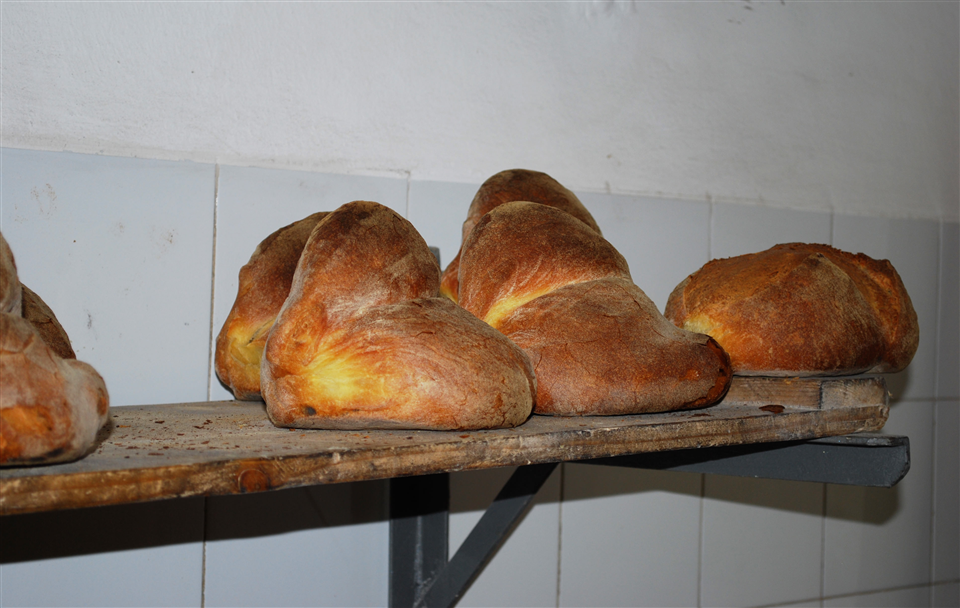 Traditional Bread from the Murgia-Apuliatv