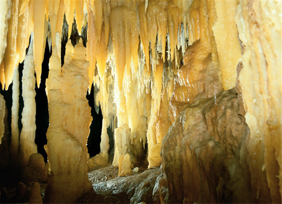 Castellana Grotte-Apuliatv