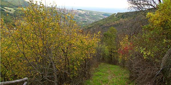 Orsara di Puglia-Apuliatv