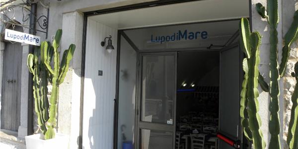 Lupo di Mare-Barletta-Apuliatv