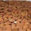 Almond of TORITTO -Apuliatv