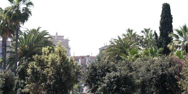 Bisceglie-Apuliatv