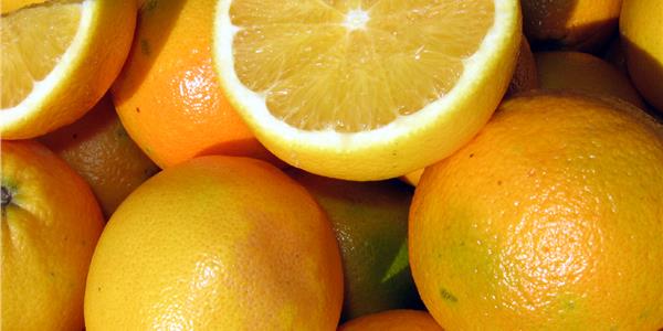 Gargano citrus fruits -Apuliatv