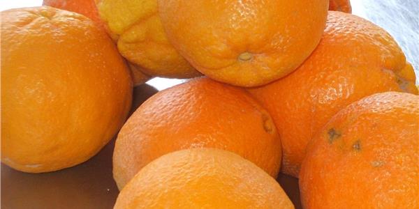 Gargano citrus fruits -Apuliatv