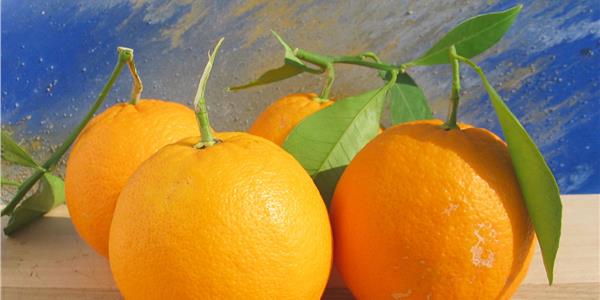 Gargano citrus fruits -Apuliatv