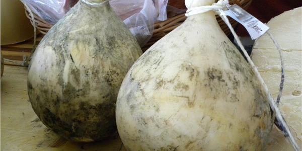 Caciocavallo Podolico from Gargano-Apuliatv