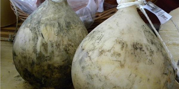 Caciocavallo Podolico from Gargano-Apuliatv