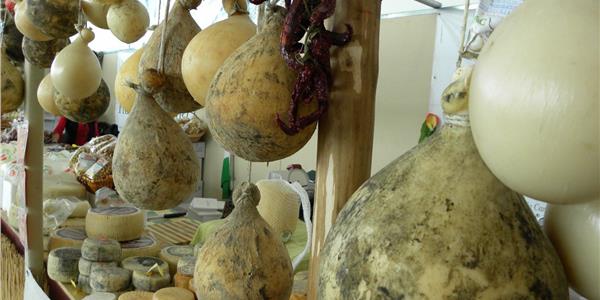 CACIOCAVALLO PODOLICO DU GARGANO -Apuliatv