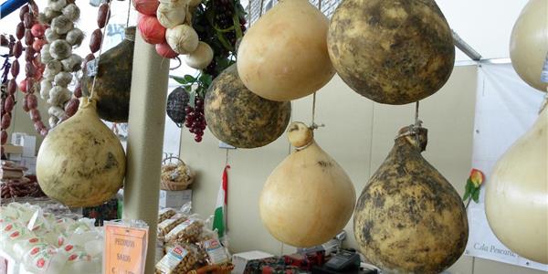 Caciocavallo Podolico from Gargano-Apuliatv