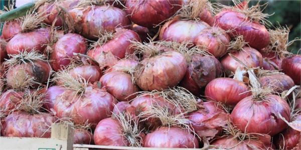 Red Onion from Acquaviva delle Fonti -Apuliatv