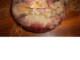 Cebolla Rosa de Acquaviva delle Fonti-Apuliatv