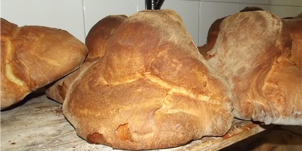 Traditional Bread from the Murgia-Apuliatv