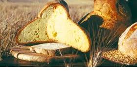 アルタ・ムルジャ地域の伝統的製法で作られたパン -Apuliatv