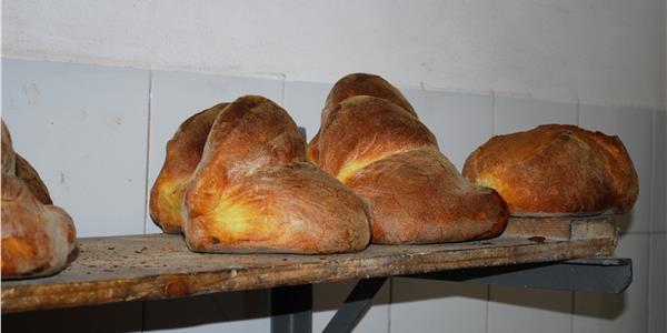 Traditional Bread from the Murgia-Apuliatv