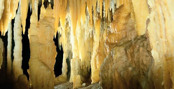 Castellana Grotte-Apuliatv