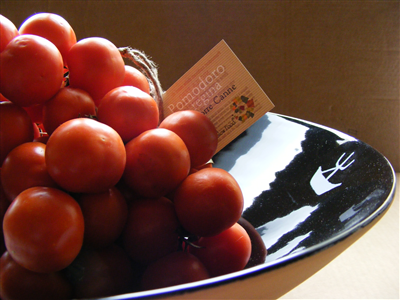 Pomodoro Regina di Torre Canne