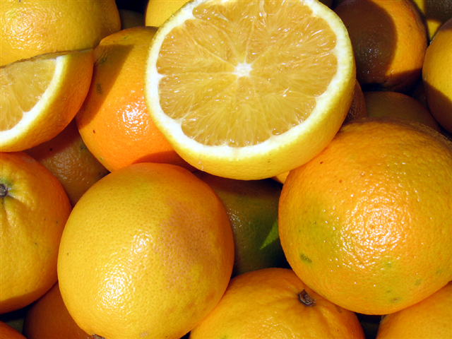 Gargano citrus fruits -Apuliatv